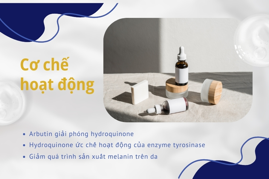 Cơ chế hoạt động của Alpha Arbutin như thế nào?
