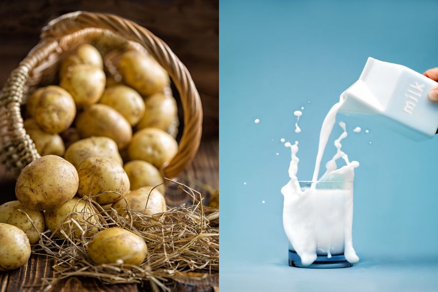 Cách làm mặt nạ khoai tây và sữa tươi trị mụn