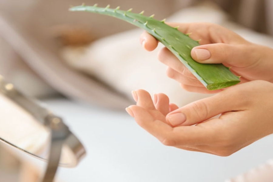 Cách nấu sáp wax lông tại nhà bằng nha đam với gelatin