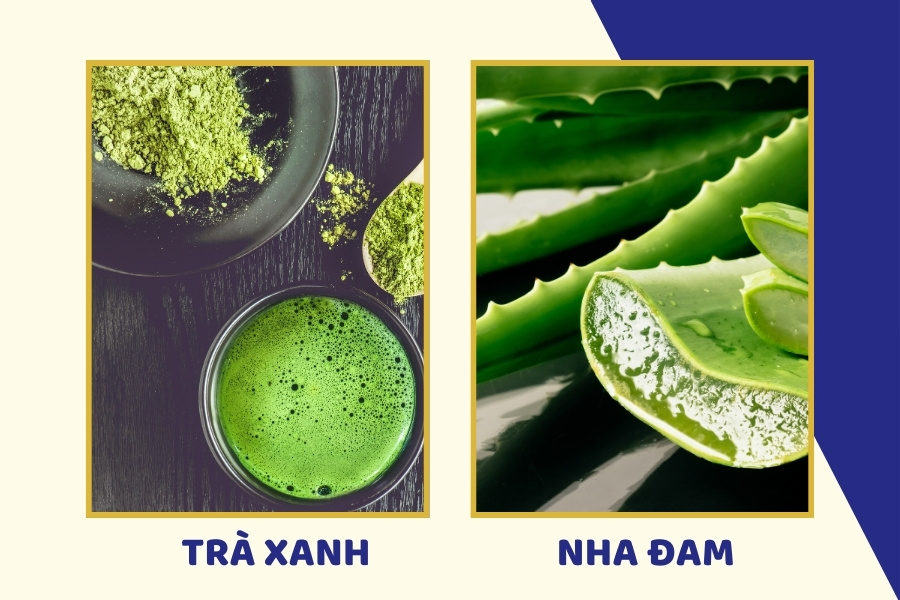 Nha đam và trà xanh đều là 2 nguyên liệu tự nhiên cực kỳ tốt cho làn da mụn