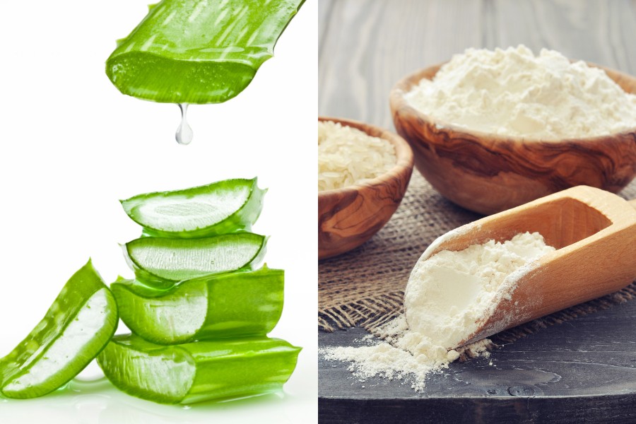 Tẩy tế bào chết với nha đam và cám gạo để chăm sóc da hiệu quả Tẩy tế bào chết với nha đam và cám gạo để chăm sóc da hiệu quả