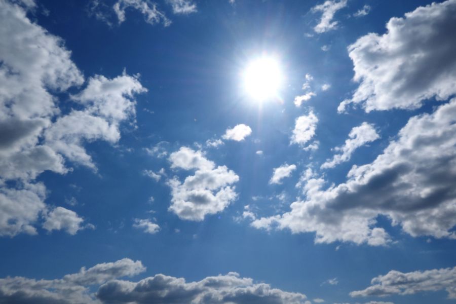 cach tri mun cam tai nha