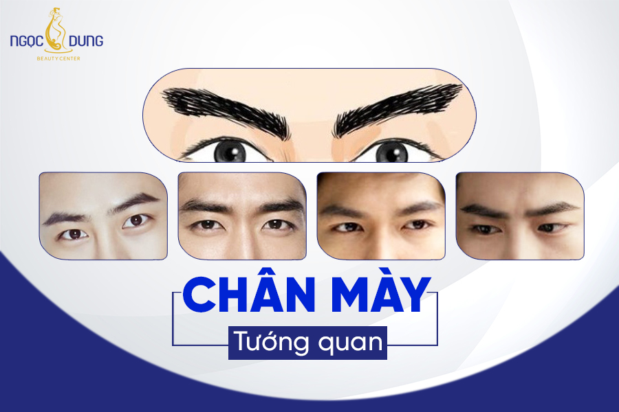 Top 6 chân mày tướng quan, mang phong thái của nhà lãnh đạo