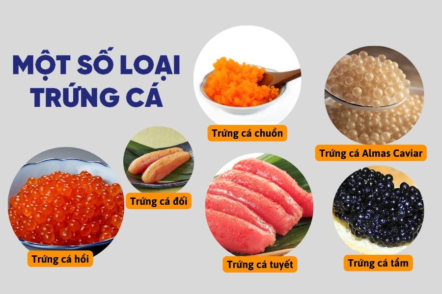 Có rất nhiều loại trứng cá khác nhau nhưng có một số loại có độc tố nên không thể thưởng thức Có rất nhiều loại trứng cá khác nhau nhưng có một số loại có độc tố nên không thể thưởng thức