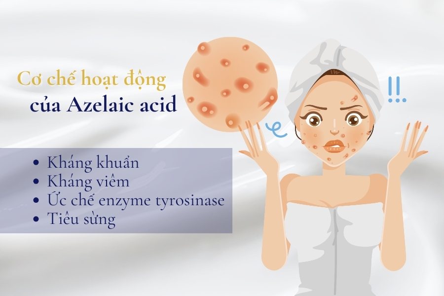 Azelaic Acid là một thành phần đa dụng trong chăm sóc da Azelaic Acid là một thành phần đa dụng trong chăm sóc da