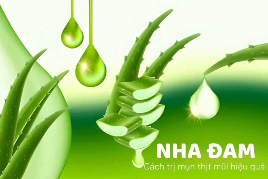 Nha đam là sự lựa chọn tuyệt vời để điều trị mụn thịt và chăm sóc làn da tại nhà Nha đam là sự lựa chọn tuyệt vời để điều trị mụn thịt và chăm sóc làn da tại nhà
