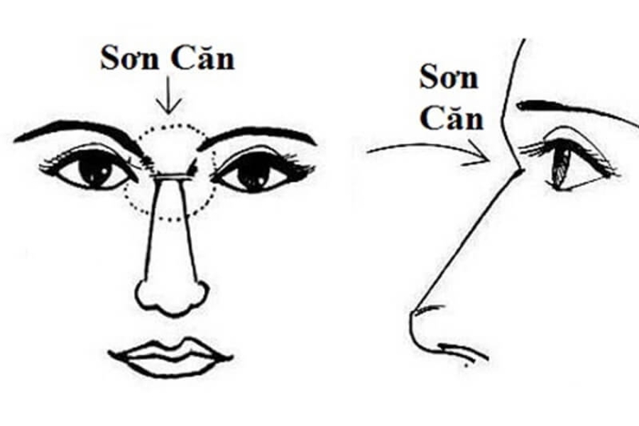 Vận mệnh - tướng số lông mày La Hán ở nam, nữ tốt hay xấu? 3 Sơn căn là đặc điểm nhân tướng học có liên quan đến sức khỏe và sự nghiệp của một người