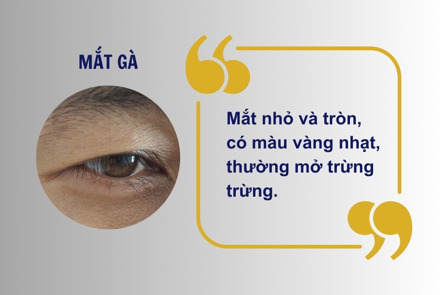 Tướng lông mày quỷ đi với mắt gà là người bộp chộp, háo sắc