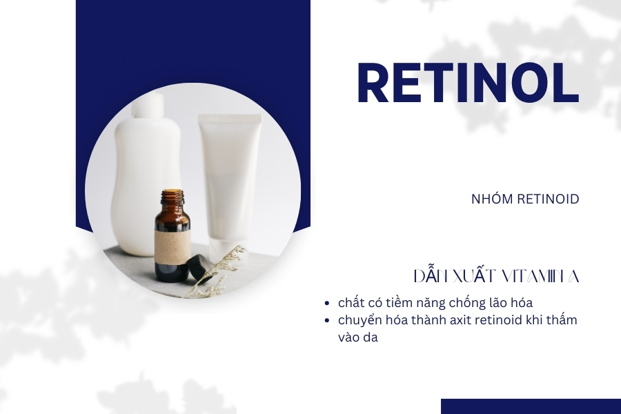 Retinol là một dẫn xuất vitamin A thuộc nhóm retinoid, là một chất có tiềm năng lớn trong chống lão hóa