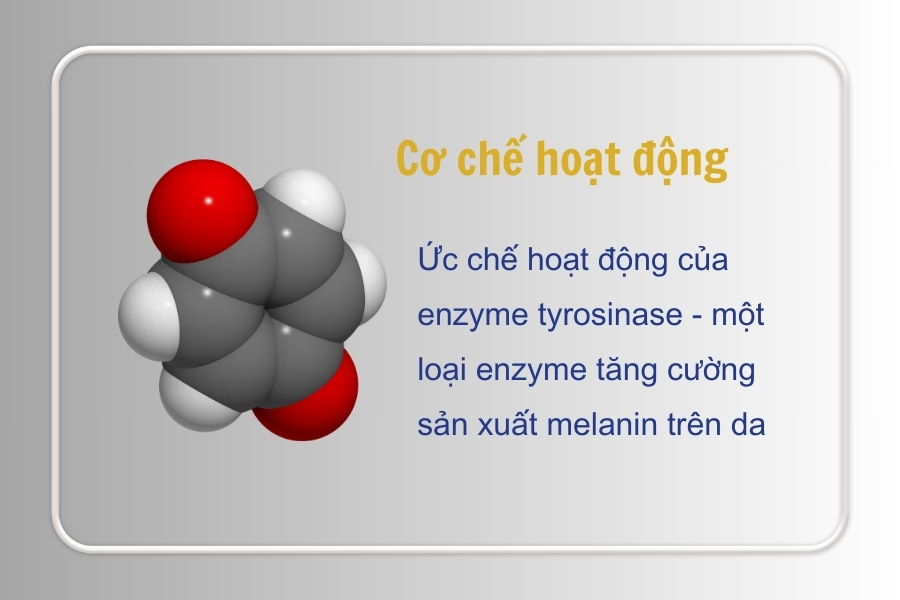 Cơ chế hoạt động của hydroquinone là gì?