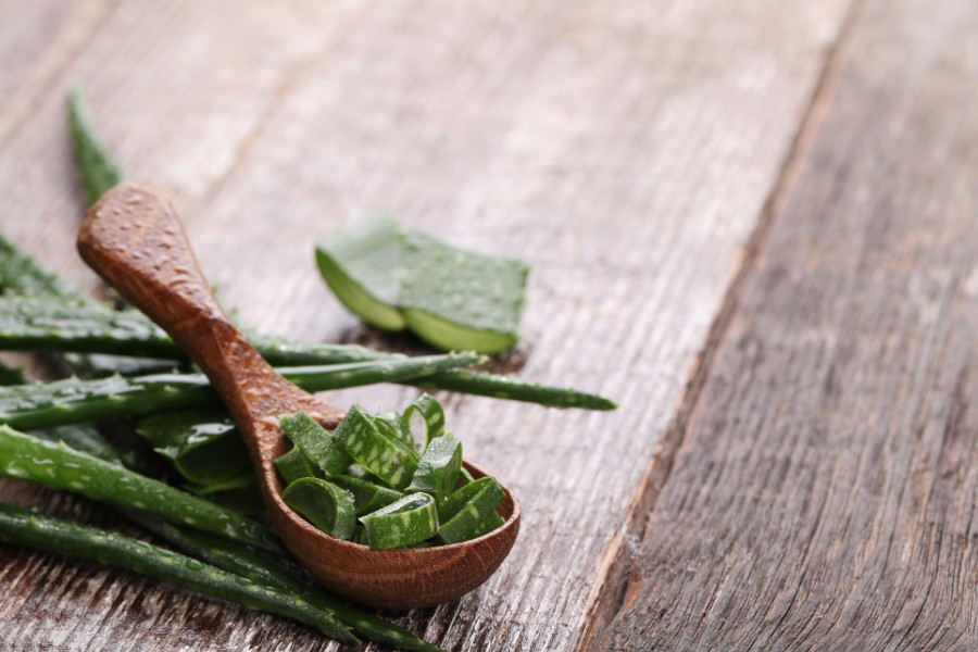 Nha đam có khả năng điều trị vết bỏng lạnh và vết trầy da hiệu quả Nha đam có khả năng điều trị vết bỏng lạnh và vết trầy da hiệu quả