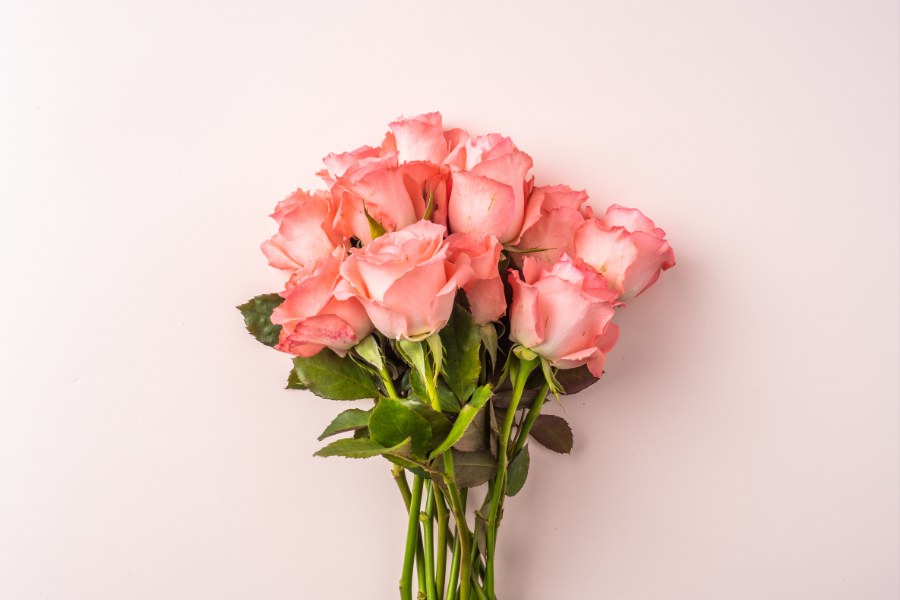 Làm nước xông mặt trị mụn bằng hoa hồng