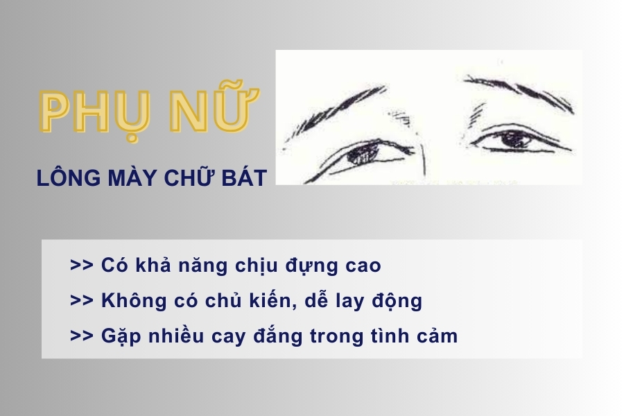 Phụ nữ có lông mày chữ bát thường dễ bị lay động bởi lời nói của người khác Phụ nữ có lông mày chữ bát thường dễ bị lay động bởi lời nói của người khác
