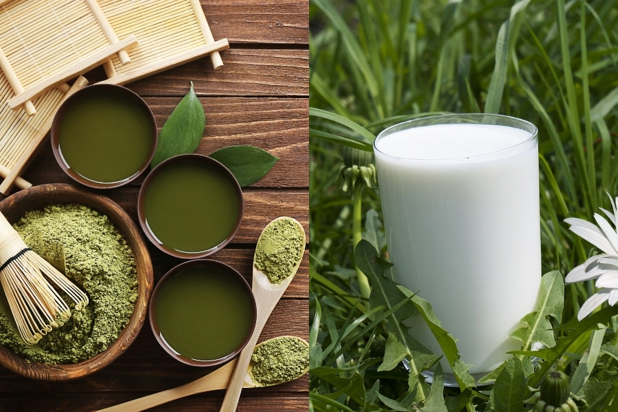 Mặt nạ trà xanh và sữa tươi không chỉ giúp làm sạch sâu và giảm mụn mặt nạ trà xanh và sữa tươi