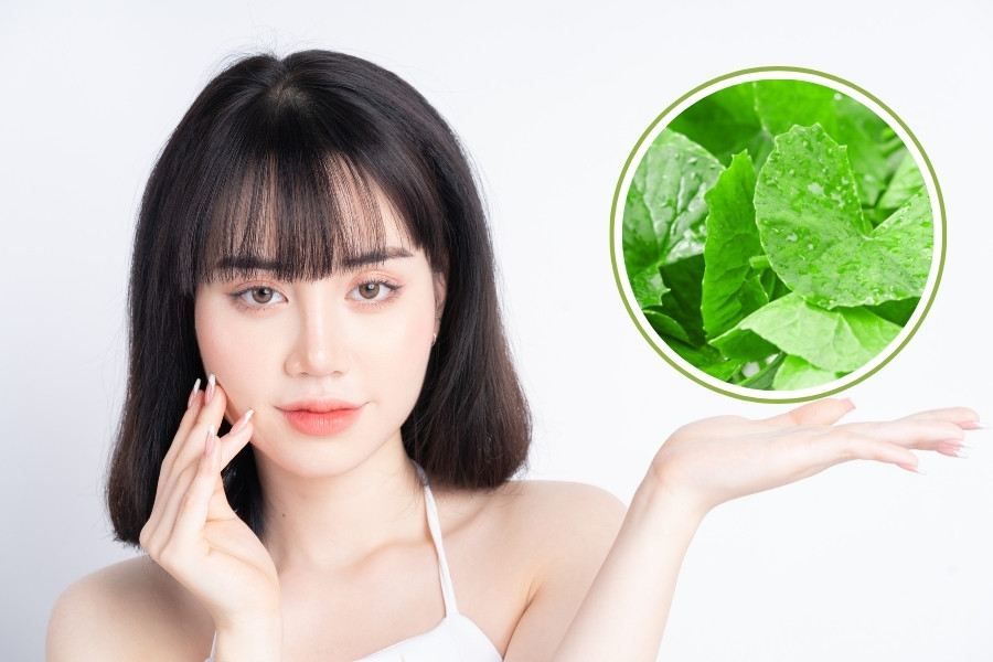Bật mí 5 cách đắp mặt nạ rau má đẹp da bạn không nên bỏ qua 2 mặt nạ rau má làm sáng da