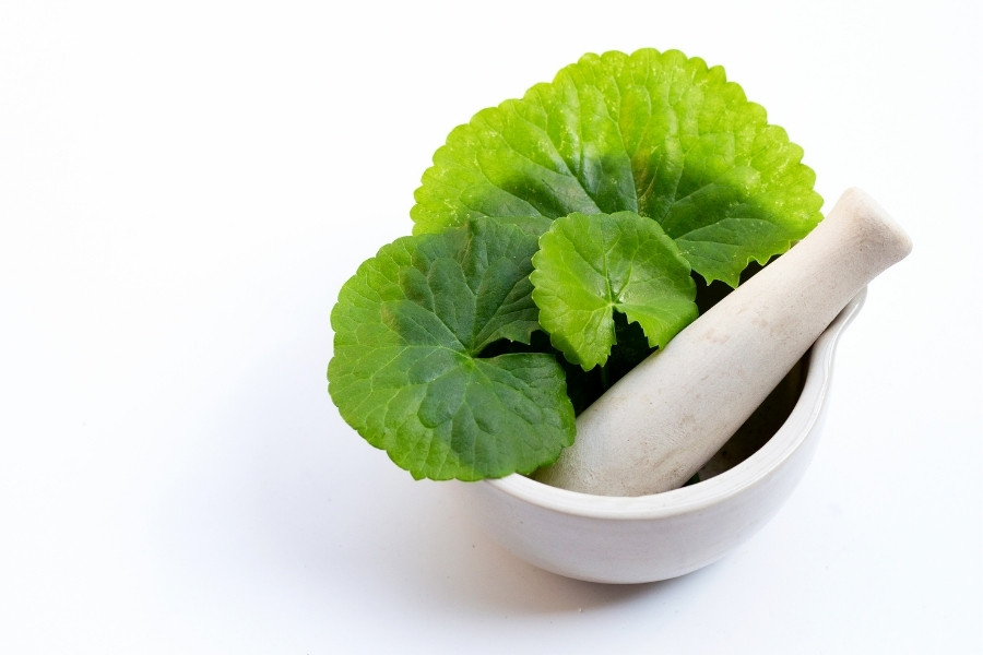 Cách đắp mặt nạ rau má trị mụn cực kỳ hiệu quả ngay tại nhà làm mặt nạ với rau má tươi