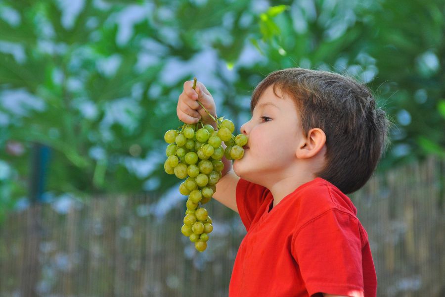 Có rất ít người bị dị ứng với nho, nhưng triệu chứng dị ứng là nổi mẩn đỏ chứ không phải mụn