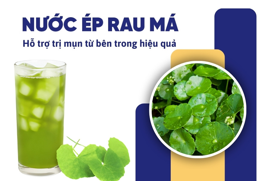 Rau má có tác dụng giúp thanh lọc cơ thể, giải độc và hỗ trợ điều trị mụn Rau má có tác dụng giúp thanh lọc cơ thể, giải độc và hỗ trợ điều trị mụn