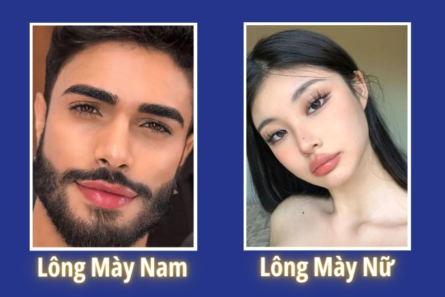 Lông mày nam và lông mày nữ cũng có nhiều khác biệt Lông mày nam và lông mày nữ cũng có nhiều khác biệt
