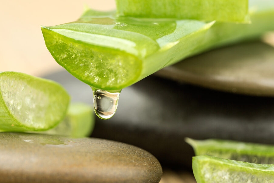 Da khô nên sử dụng các sản phẩm giàu chất dưỡng ẩm như lô hội hoặc hyaluronic acid