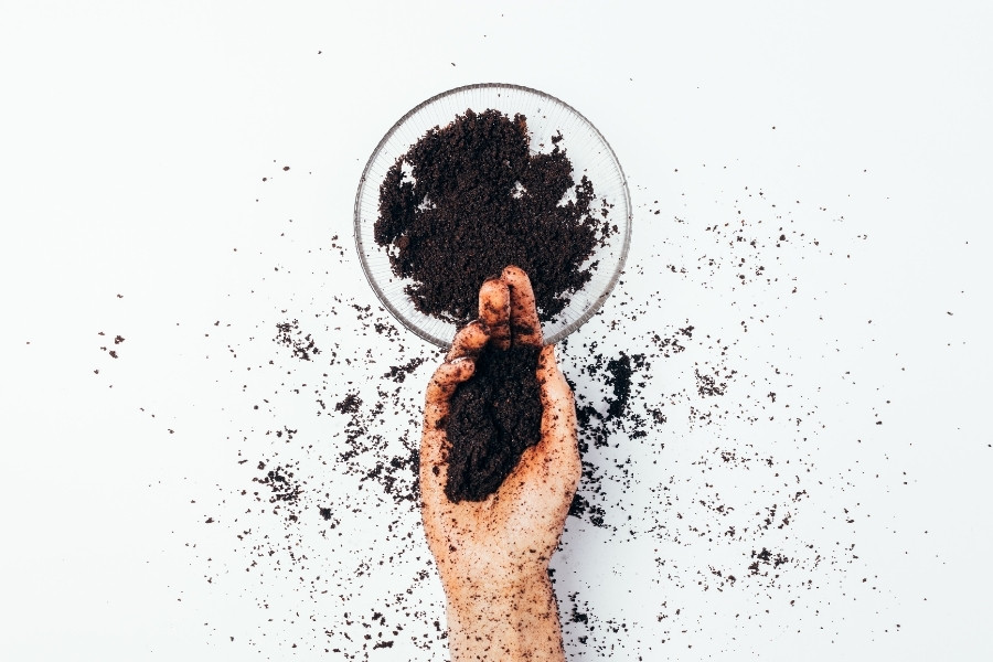 tay te bao chet cafe