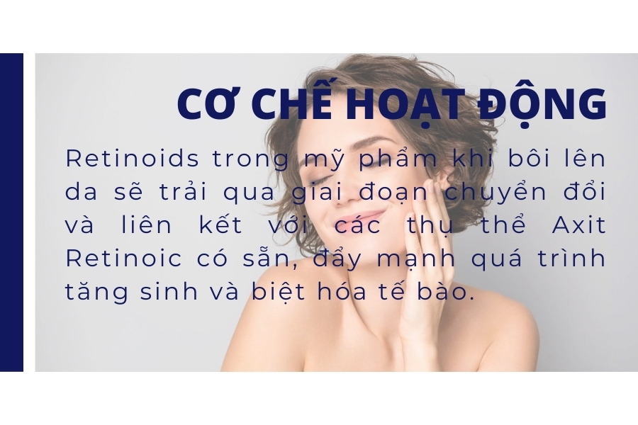 Cơ chế hoạt động của nhóm Retinoid là gì? Cơ chế hoạt động của nhóm Retinoid là gì?