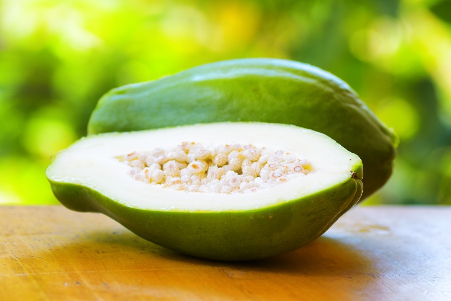 Trị gót chân bị nứt với mủ đu đủ an toàn, hiệu quả Trị gót chân bị nứt với mủ đu đủ an toàn, hiệu quả