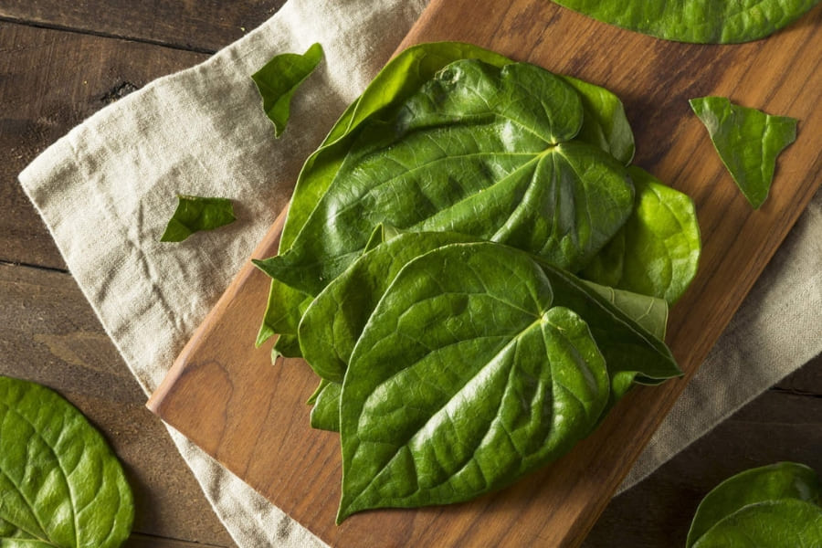 Thải độc da bằng cách xông hơi mặt bằng lá trầu Thải độc da bằng cách xông hơi mặt bằng lá trầu