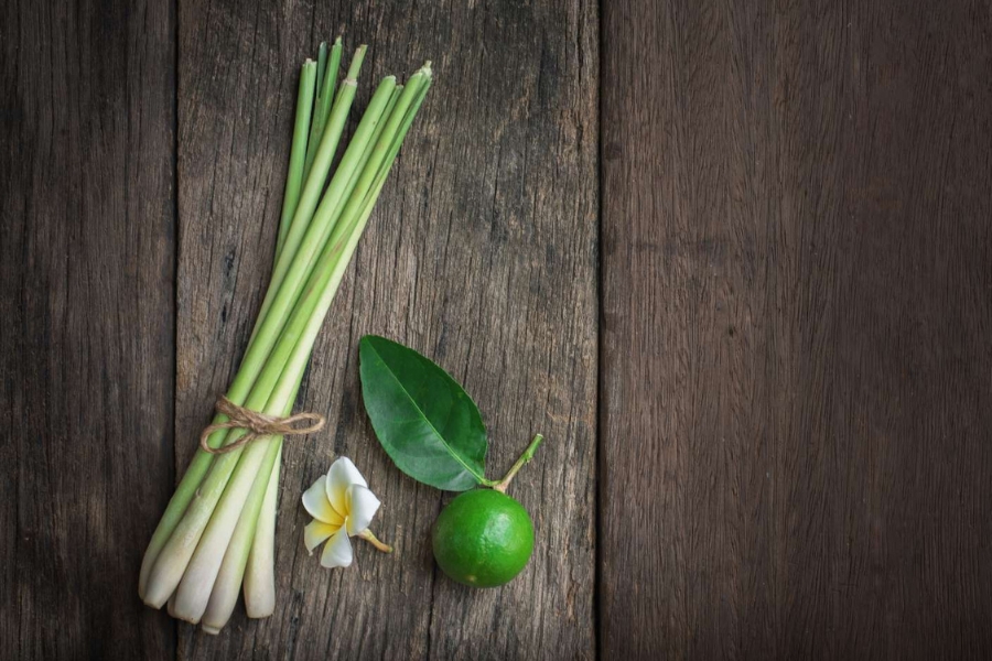 Hơi nóng từ việc xông mặt bằng sả làm da sạch, sáng mịn và căng bóng hơn. Hơi nóng từ việc xông mặt bằng sả làm da sạch, sáng mịn và căng bóng hơn.