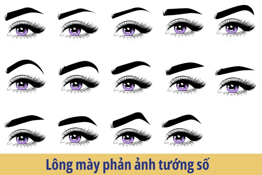 Xem tướng lông mày có thể đoán vận mệnh Xem tướng lông mày có thể đoán vận mệnh