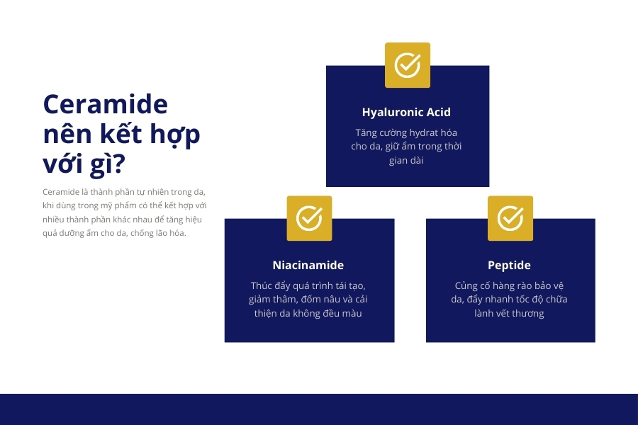 Ceramide nên kết hợp với thành phần nào để đạt hiệu quả tốt nhất? Ceramide nên kết hợp với thành phần nào để đạt hiệu quả tốt nhất?