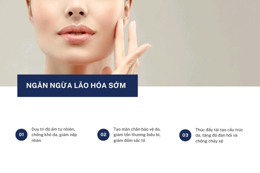 Ngăn ngừa tình trạng lão hóa sớm do yếu tố môi trường tác động Ngăn ngừa tình trạng lão hóa sớm do yếu tố môi trường tác động
