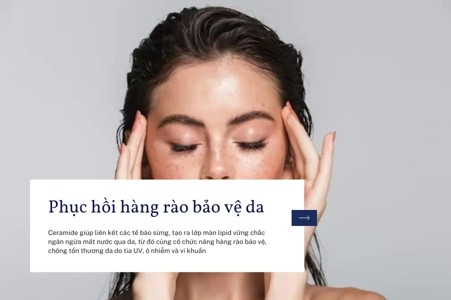 Phục hồi hàng rào bảo vệ da, chống các tác nhân gây hại Phục hồi hàng rào bảo vệ da, chống các tác nhân gây hại