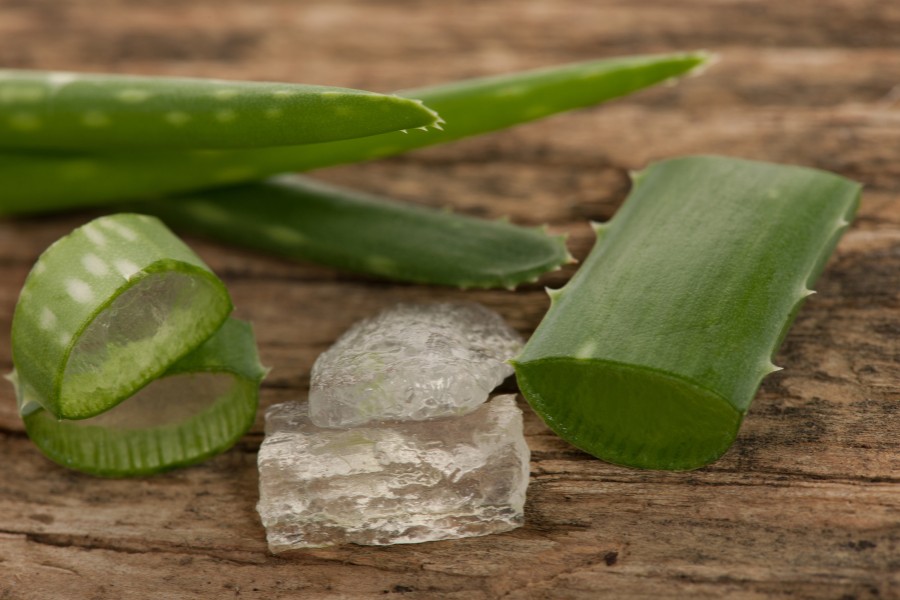 Nha đam là một trong những nguyên liệu cải thiện các vấn đề da mẩn ngứa hiệu quả Cách trị ngứa da mặt tại nhà với nha đam