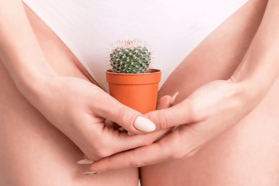 Cần lưu ý gì khi tỉa lông vùng kín nữ bằng kéo