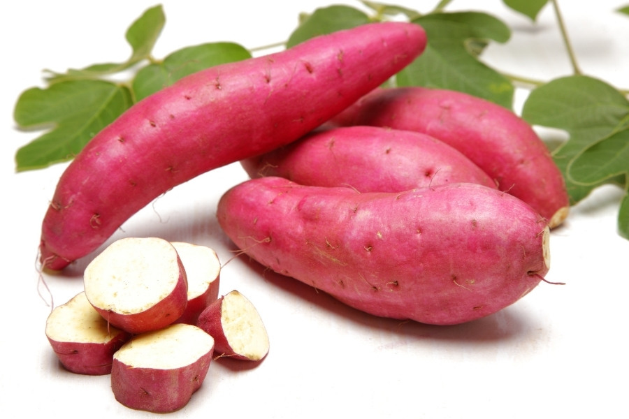 Chọn khoai lang ngon và biết cách bảo quản khoai khi ăn khoai lang phun xăm môi