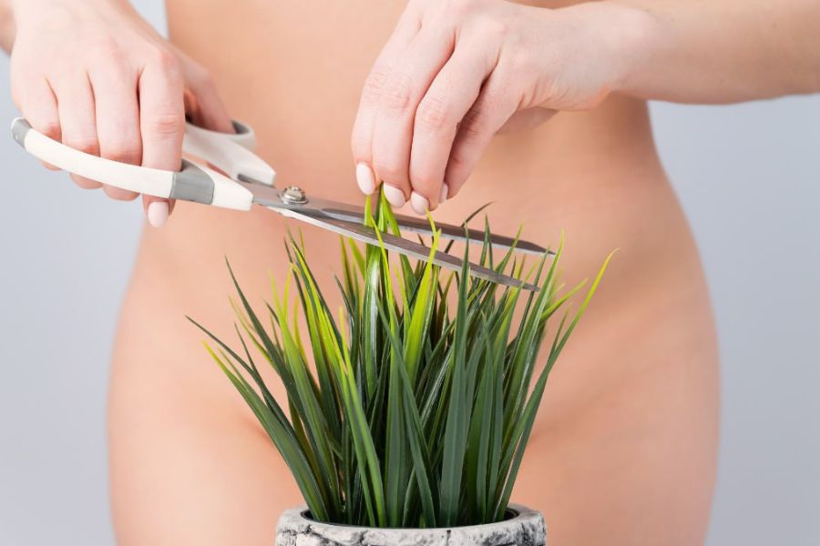 Tỉa lông vùng kín bị ngứa là một vấn đề các chị em thường xuyên gặp phải