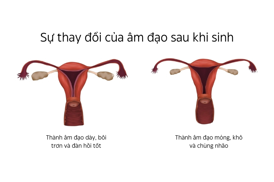 Những thay đổi của cô bé sau khi sinh