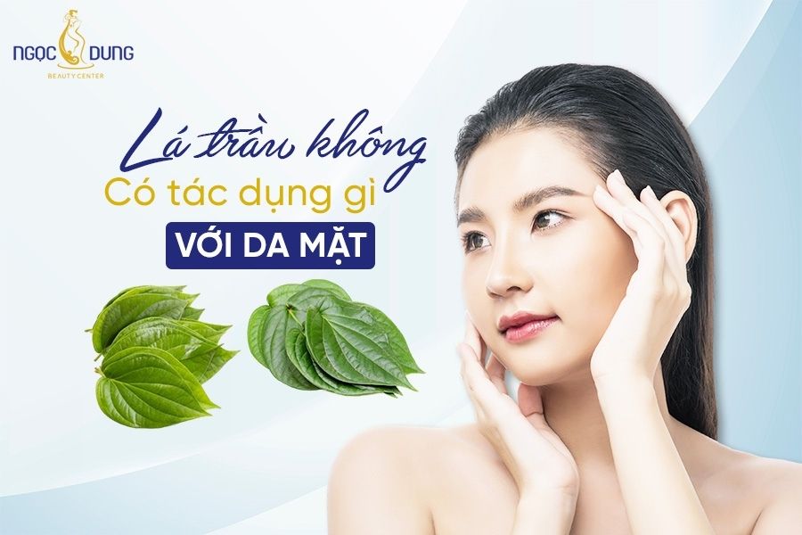 lá trầu không có tác dụng gì với da mặt