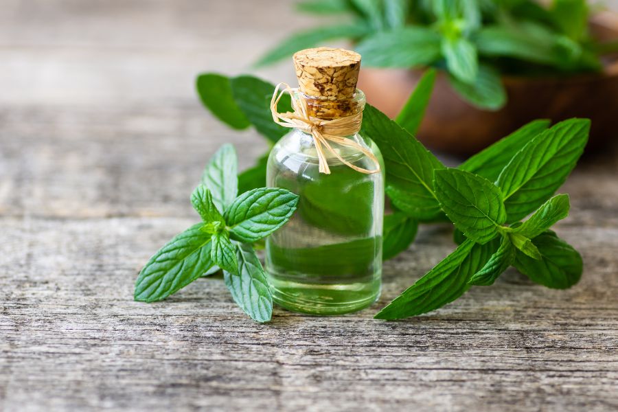 Nam giới nên ưu tiên các sản phẩm tẩy lông vùng kín có menthol để chống viêm và làm dịu da