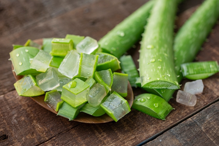 sơ chế nha đam sai cách cũng có thể gây hại cho da khi sử dụng