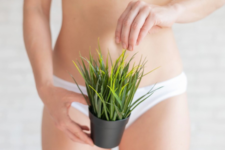 Lông vùng kín có chức năng giúp bảo vệ cơ quan sinh dục của phụ nữ