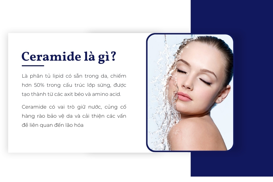 Ceramide là gì trong da và mỹ phẩm? Ceramide là gì trong da và mỹ phẩm?