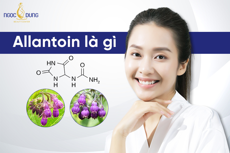 Allantoin là gì? Allantoin có công dụng gì trong mỹ phẩm?