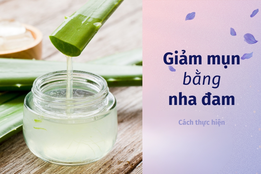 Giảm mụn ẩn ở cánh mũi với nha đam Giảm mụn ẩn ở cánh mũi với nha đam