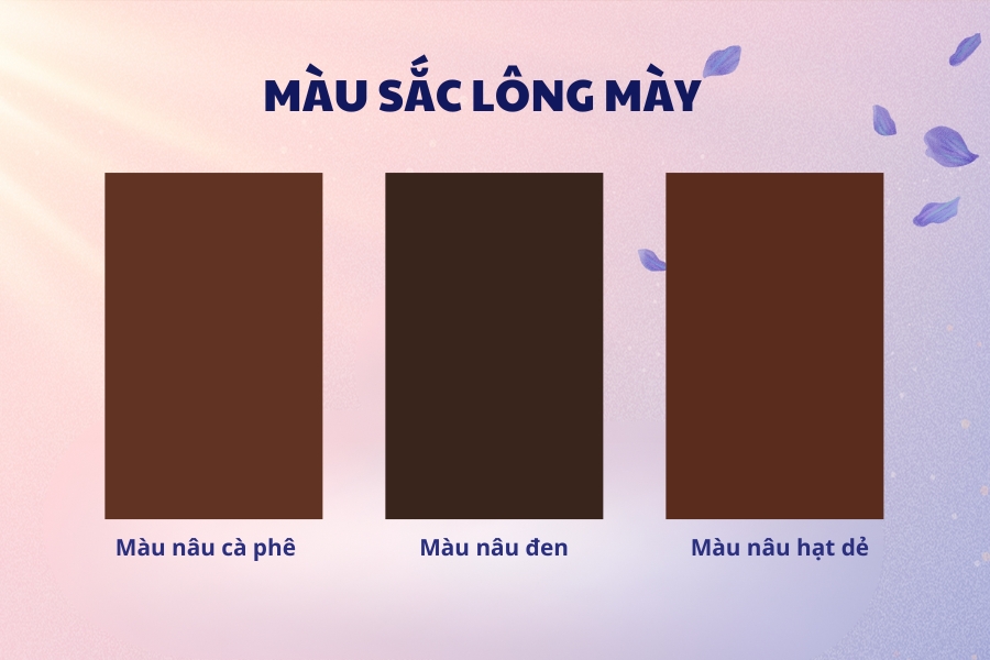 Màu sắc hợp với dáng lông mày cho người trung tuổi 