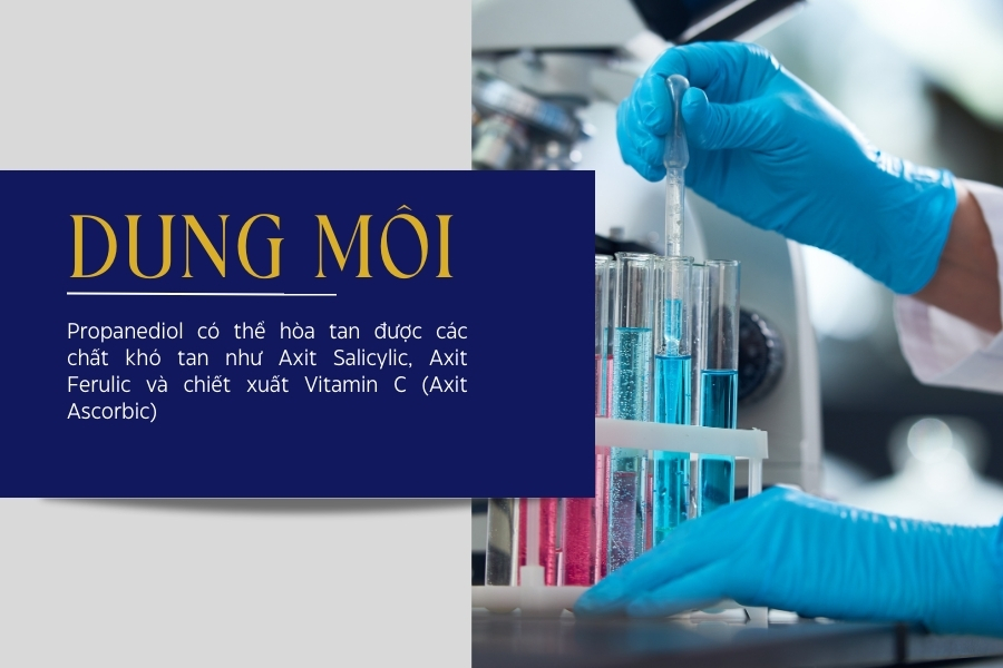 Hoạt động như một dung môi (chất hoà tan) Hoạt động như một dung môi (chất hoà tan)