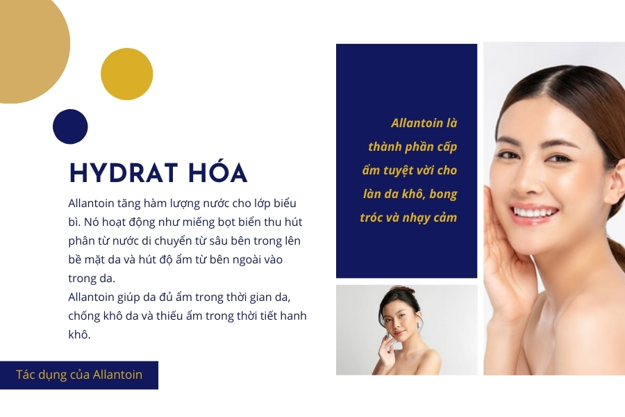Allantoin có tác dụng gì trong mỹ phẩm skincare