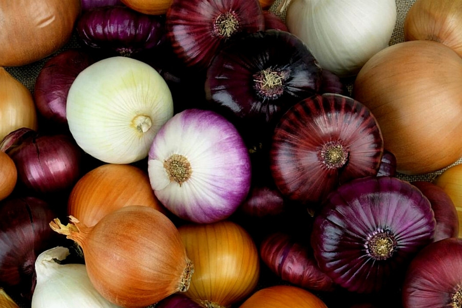 Sử dụng hành tây để chữa chai gót chân đơn giản hiệu quả Sử dụng hành tây để chữa chai gót chân đơn giản hiệu quả