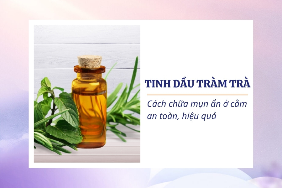 Dầu tràm trà có khả năng kháng khuẩn và chống viêm, giúp trị mụn ẩn dưới cằm hiệu quả Dầu tràm trà có khả năng kháng khuẩn và chống viêm, giúp trị mụn ẩn dưới cằm hiệu quả